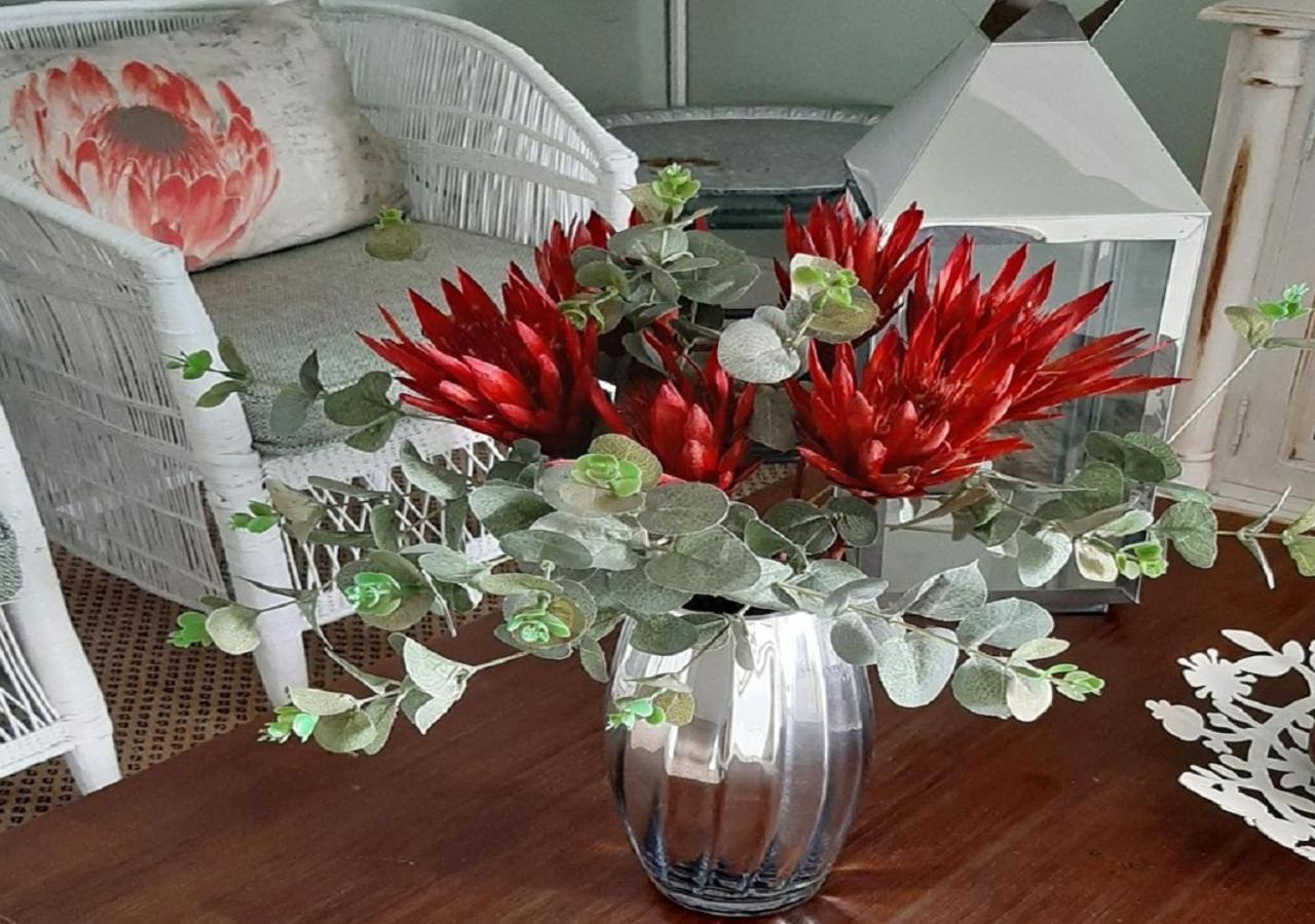The Greenhouse Guesthouse Cape Town Luaran gambar