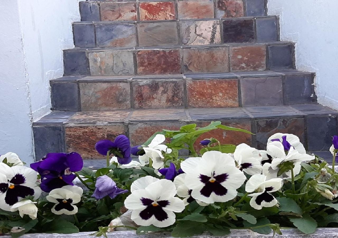 The Greenhouse Guesthouse Cape Town Luaran gambar